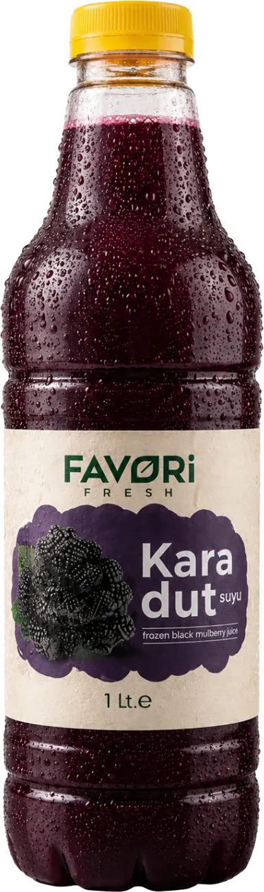Favori Fresh Karadut Suyu Özütü ürün görseli